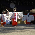 写真: 住吉大社　踏歌神事３