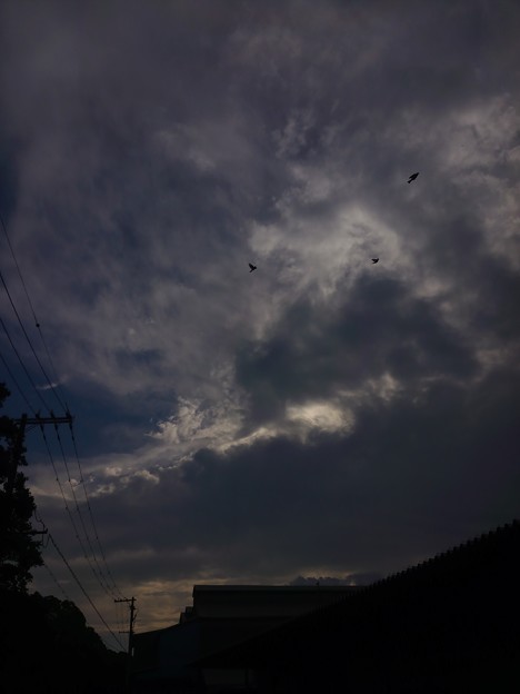 写真: 黄昏の空