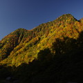 写真: 称名坂の紅葉
