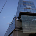 写真: ガラスの建物と月