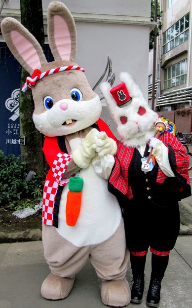 写真: うさぎのどんちゃん と ウサギ人間