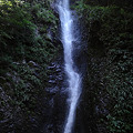 写真: 賀茂郡西伊豆町大沢里　渾床の滝