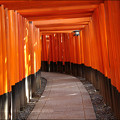 写真: ＜京都の観光地NO,1＞の実力とは