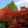 写真: 横蔵寺　紅葉1