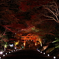 『紅煌。。。』　〜日吉神社〜