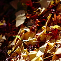 Photos: 『残秋。。。』