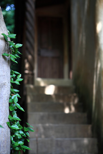 写真: 『昭和への階段。。。』