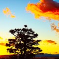 写真: 富士と夕日