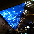 A new large monitor at Umeda Station.
