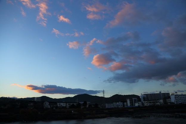 写真: 鏡川の朝.2