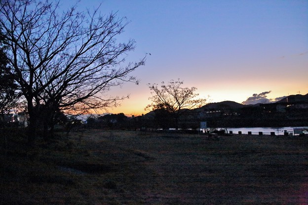 写真: 鏡川の朝.1