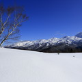 写真: 厳冬期：知床連山