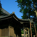 Photos: 蛭子神社