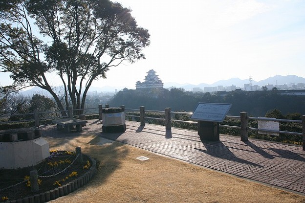 写真: 男山から見た姫路城(2)
