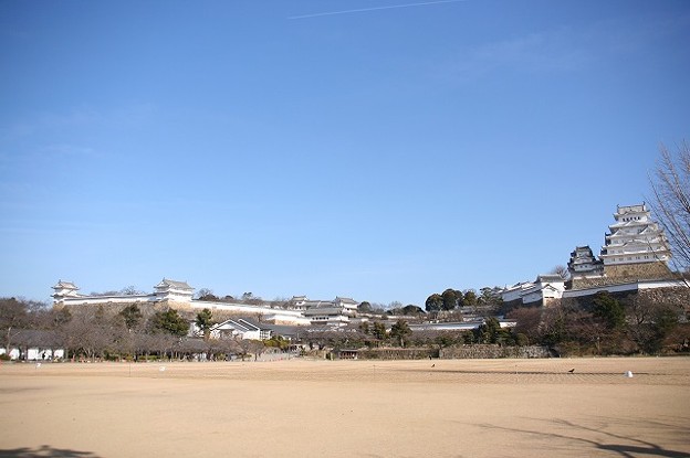 写真: 3月の姫路城(3)
