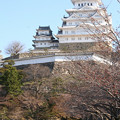 写真: 4月の姫路城(4)