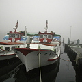 霧の小樽港（観光船）