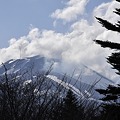 写真: 浅間山の残雪