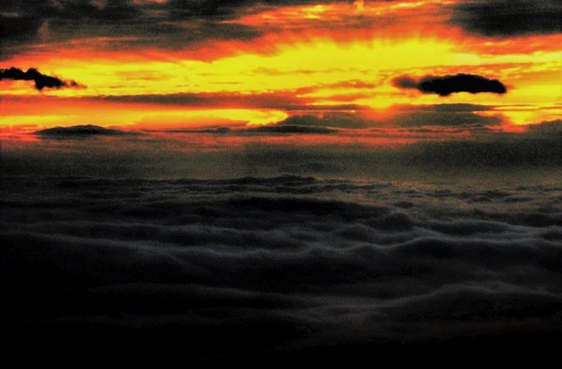 写真: 雲海に日昇る