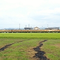 写真: 田んぼの横を電車は走る