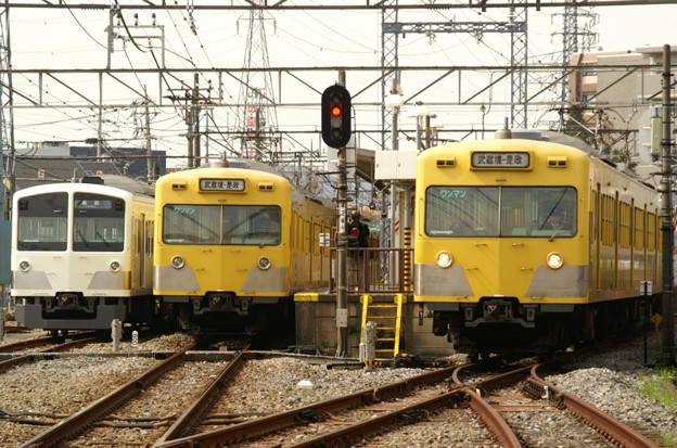 写真: 白い電車､黄色い電車