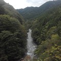 写真: 裏ヤビツの渓谷 マイナスイオンバッチリ