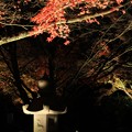 夜紅葉と石灯篭