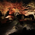 夜紅葉の石庭