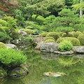 池の庭園
