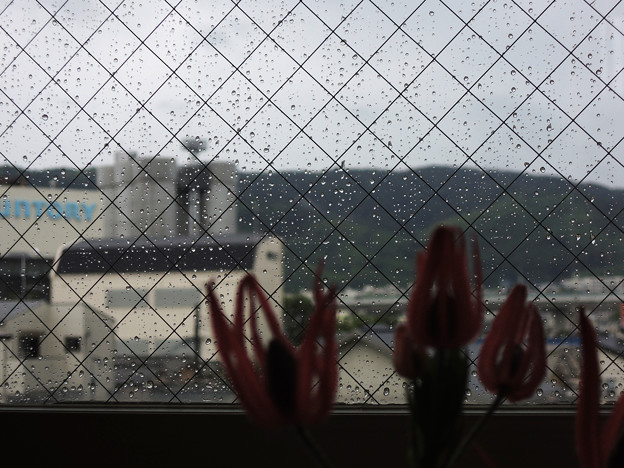 写真: 窓の外は雨