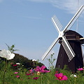 写真: 風車の丘で