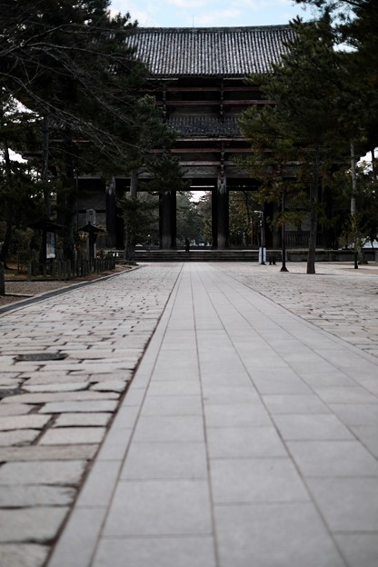 写真: 人がいない-奈良県奈良市：東大寺南大門