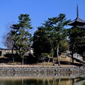 写真: 廃仏毀釈-奈良県奈良市：猿沢池