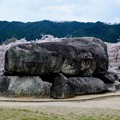 写真: 桜を求めて飛鳥の地へ-奈良県明日香村：石舞台古墳