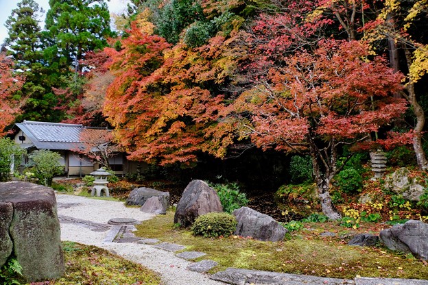 写真: 美しい庭園-京都市東山区：南禅寺