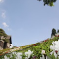 写真: 旧古川庭園1