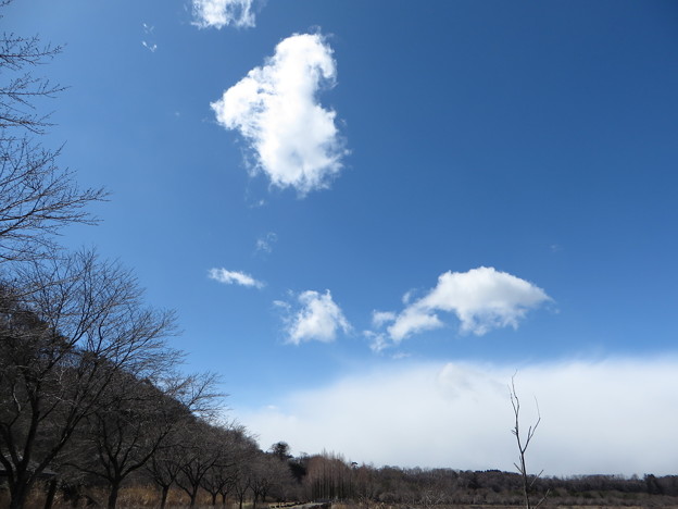 写真: ぽっかり浮かんだ雲ともやもやの雲