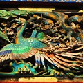 写真: 日光東照宮で出会った鳥　３