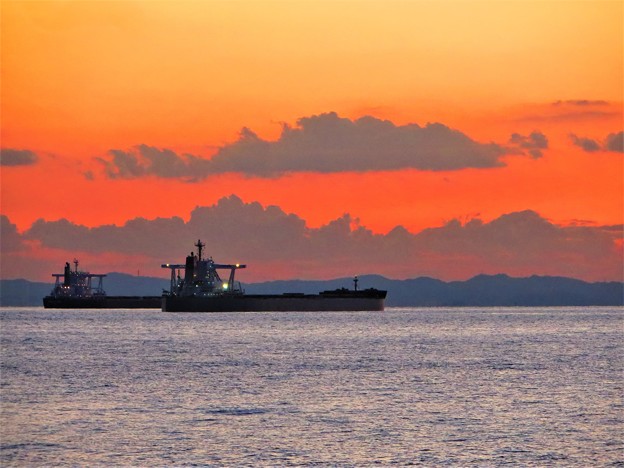 写真: 今日観た風景　東京湾　タンカー