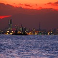 写真: 今日観た風景　東京湾　横浜