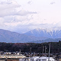 写真: 仙丈ヶ岳を背景に。