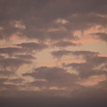 写真: 傘マークな夕焼け雲