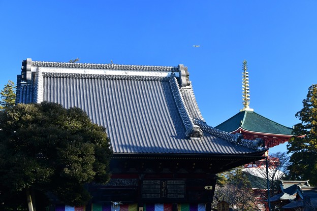 写真: 成田山新勝寺　光明堂と平和の大塔