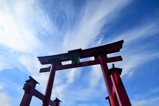 写真: 弥彦神社の大鳥居でけぇ!