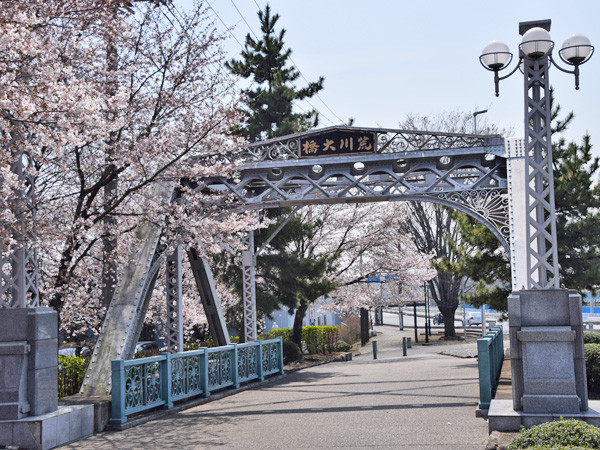 写真: 荒川大橋トラス広場と桜2017・3