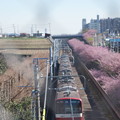 写真: 陸橋から金網越しの京急線