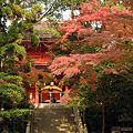 写真: 下関　住吉神社