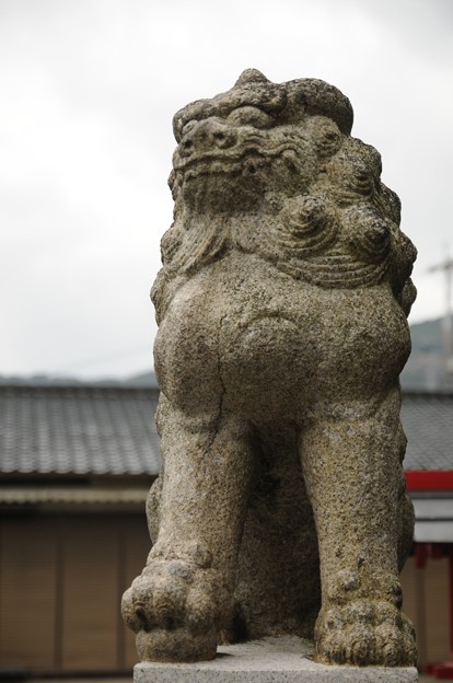若松　赤島　白山神社