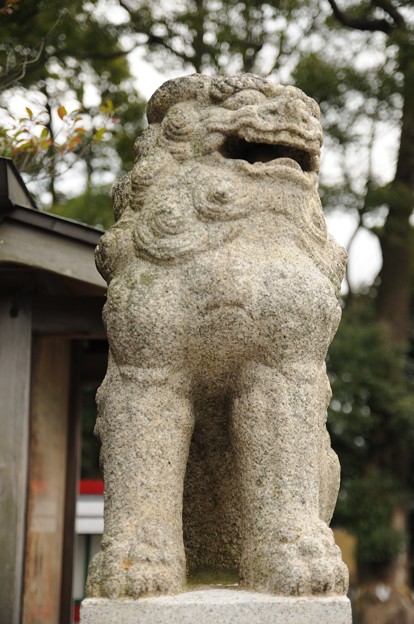 若松　赤島　白山神社