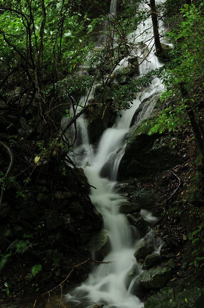 写真: 黒川　幻の滝